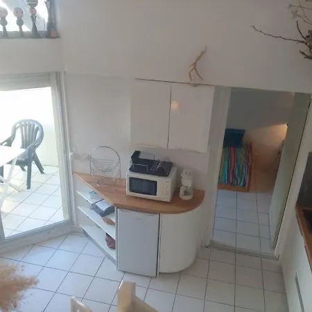 Διαμέρισμα T3 Mezzanine, 6 Pers, Piscine, Plage, Parking, Animaux Ok - Fr-1-106-67 Saint-Cyprien (Pyrenees-Orientales)