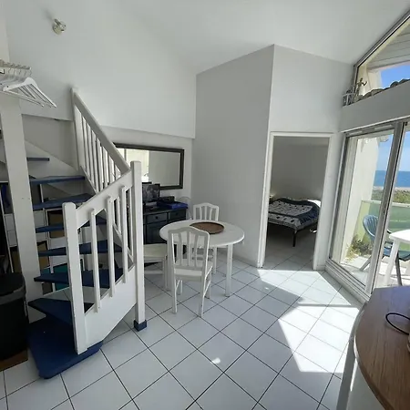 T3 Mezzanine, 6 Pers, Piscine, Plage, Parking, Animaux Ok - Fr-1-106-67 *